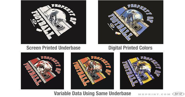 M&R Polaris DTG Printing System
